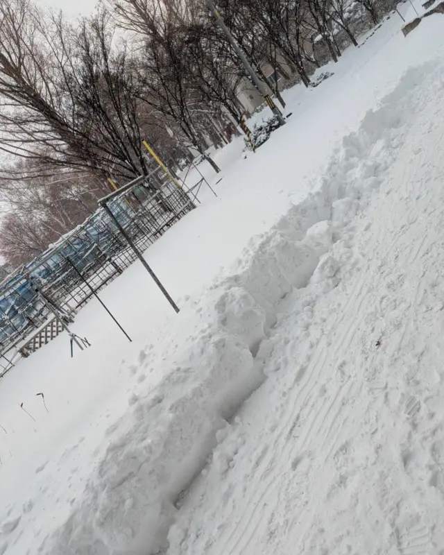 おはようございます⛄️
雪が20cm積もったらしいです⛄️本格的に冬が来ました⛄️💦🥶温かくお過ごしください😌
⁡
#ジョブタス白石#就労支援b型 #冬#雪#札幌