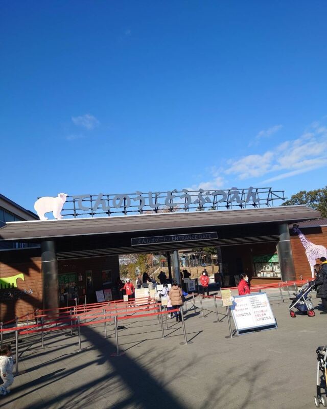 昨日の日曜日はすごくいいお天気だったので
天王寺動物園に行ってきました❣️
ペンギンの水槽を下から見れるようになってたり昔とは全然見せ方も変わっていて楽しかったです😊キリンの迫力すごかった！ライオンの後ろに見えるのはハルカスです♪

#ジョブタス長吉長原東#就労支援#B型#手作りアクセサリー#平野区就労支援#就労b#ハンドメイド#在宅#軽作業#就労訓練#日当保証#無料送迎