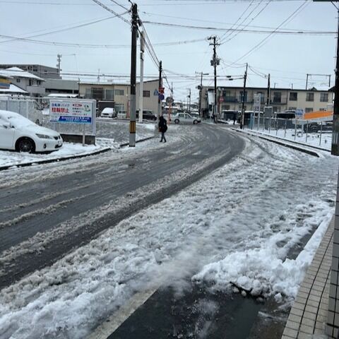 ジョブタス東仙台です！

３月になりましたが雪が・・！☃
積雪量は多くはありませんが、徐々に
みぞれ交じりの雨になり足元が悪くなっています😣

先週末の暖かさで事業所近くにある
梅の花も少しずつ咲き始めています🌸
春が待ち遠しいですね😊😊

-----✂-----------------------------------------

🏠ジョブタス東仙台　★東仙台駅すぐそば！
〒983-0833　仙台市宮城野区東仙台1丁目7-1
☎022-355-6325
【営業時間：9：00～17：00／月～金曜日】

#ジョブタス東仙台 #就労支援B型 #福祉 #障害福祉 #無料送迎 #昼食無料提供 #仙台 #ハンドメイド #製作 #軽作業 #古着 #古本 #昼食無料 #送迎無料 #利用者様募集中 #見学体験受付中 #エフリング