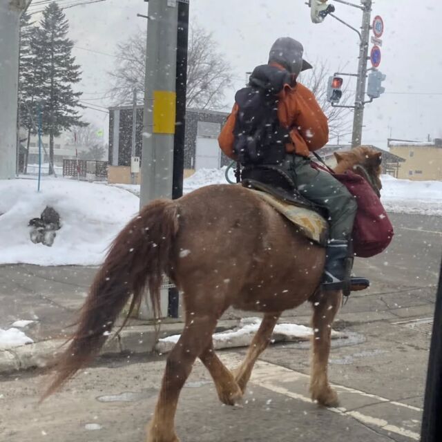 こんにちは✨😃❗ジョブアカデミー名寄です。

雪も溶けてきた帰りの送迎…道路で馬が歩いてました。
寒そうですが、平常心で歩く馬🐴🐴🐴🐴🐴

そして、私の好きなもの紹介は…
私に取って
永遠のアイドルである。安室奈美恵です。

歌のうまさ♥キレキレのダンス

日本一ツインテールが似合うとアイドル…

すべてが癒し

以上、O職員でした！

#エフリング
#ジョブアカデミー名寄
#私の癒し
#アムラー