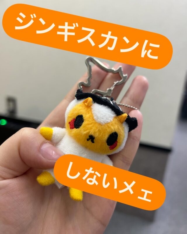 北海道のお土産でいただきました

北海道公認？キャラクターの

ジンくんだそうです。

誰かと名前が一緒だなぁ🐏

こんな可愛いやつを食べるなんて

とてもじゃないけど

出来ないメェ

みんなは出来る？？

コメントお待ちしておりますメェ

#就労継続支援b型 #エフリング #北海道 #ひつじ #ジンギスカン #駒川 #大阪市 #大阪関西万博 #ジンくん #ヤギ