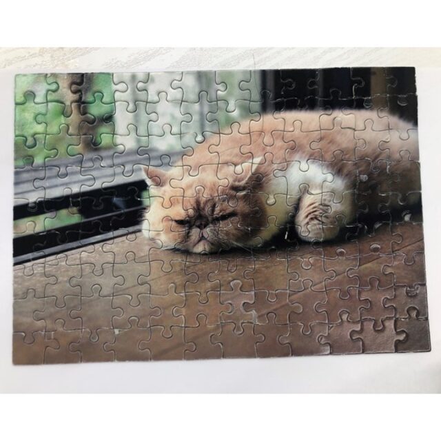 こんにちは！
ジョブタス千城台東事業所です。

今日は利用者さんが完成させたパズルの紹介です😊

「色味が似ていて難しい…」と言っていたのですが可愛いネコちゃんを作り上げる事ができました!!

パズルも、簡単なものからレベルの高いものまで色々取り揃えております。
利用者さんは自分が出来そうなものからスタートして、だんだん難しいものへ挑戦していってます。

出来上がった時の達成感は格別ですよね～～

次はどんなパズルに挑戦するか、楽しみです🌈

＃エフリング＃ジョブタス＃パズル