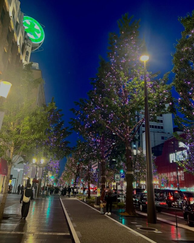 こんにちは☀️
今週も元気にやっていきますよ〜〜❗️❗️
土日はあいにく雨模様でしたが皆さん休日は楽しめましたか〜❓

この間なんばに行くと御堂筋がライトアップされてました✨
すごく綺麗でした🤩
外国人さん多くて別世界に感じますね〜

皆さんもぜひ見に行ってくださいネ☺️

#就労継続支援ｂ型 
#エフリング
#ジョブタス駒川
#御堂筋ライトアップ