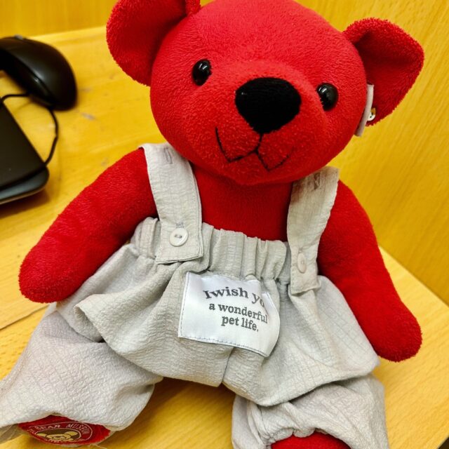 毎度おなじみ…
べにしょうがくん🐻にお𝓝𝓔𝓦のおべべを購入しました😊

どうですか～～～～❓

本人はかなり満足気でお気に入りみたいです💘
似合っているか、よかったらコメントくださいね！
べにしょうがくんも喜びます🧸💓

#就労継続支援b型 
#エフリング 
#ジョブタス駒川
#障がい者支援 
#ぬい活 
#ぬい活好きな人と繋がりたい 
#もう少し暑くなったら夏服買ってあげたい