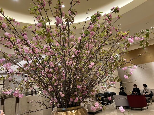 🌸桜 Part2 🌸
#ジョブタス白石 #就労支援ｂ型