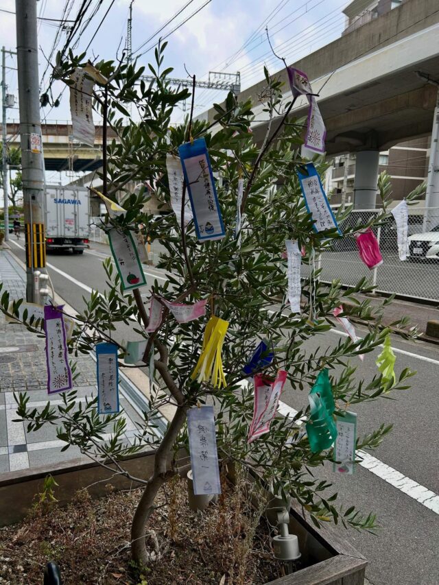 今年の七夕は〜❓❓
777⭐️
令和7年7月7日というめでたい日付でした〜

ジョブタス駒川でももちろん短冊を飾りましたよ🌟
みなさんは何を願いましたか❓

織姫と彦星は会えたかな〜❓

飾り付けは利用者さんが作ってくれました♪
ありがとう😊