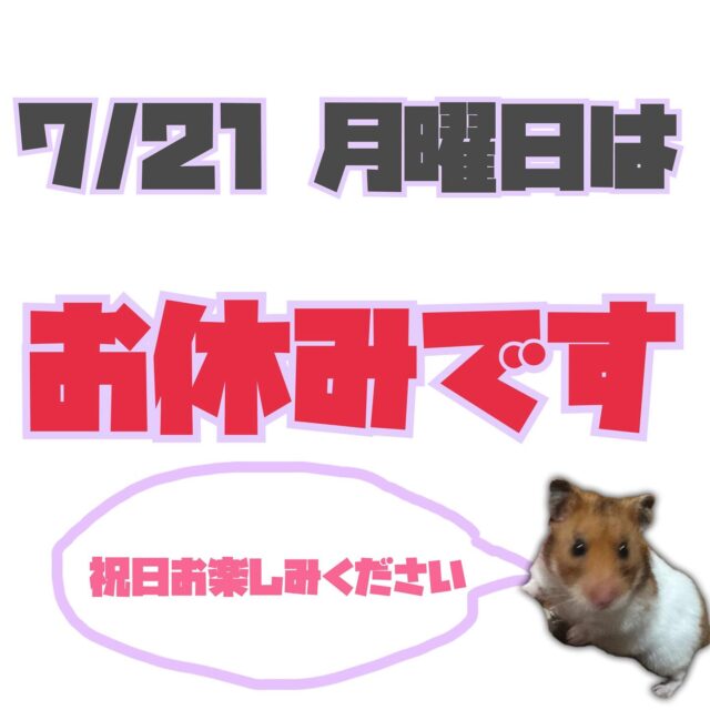 こんばんは🌇
ジョブアカデミー名寄です🫡

来週月曜日は祝日のため事業所お休みです🙆‍♀️
久しぶりの連休なのに雨予報ですが体調管理しつつリフレッシュして週明け元気に通所されるのを待ってます❤️‍🔥

今週のリレー「こんな顔になりたかった女優」
T職員は山本舞香です🫡🫡🫡
三吉彩花と迷いましたが、、、
ちょっと気が強そうで化粧映えしそうな顔が大好きです❤️‍🔥

来週の投稿もお楽しみに〜👍

#北海道 
#名寄市 
#ジョブアカデミー名寄 
#エフリング 
#就労継続支援ｂ型事業所 
#祝日㊗️ 
#連休 
#雨ですが楽しもう
#体調管理に気をつけて 
#なりたかった顔 
#山本舞香 
#かわいい 
#とっとこハム太郎
