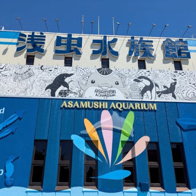 こんにちは。エフリング弘前です(*^^*)
先週はレクで浅虫水族館🐬へ行ってきました！
初の一日がかりのおでかけです🚗

お昼はそれぞれ好きなものを注文。
がっつりカツ丼セットの方
天ぷら寿司蕎麦といろいろ食べたい方🤤
腹ごしらえをしていざ水族館へ🚙💨

イルカショー🐬観たり
ペンギン🐧やアザラシ🦭に癒され
 アイスを食べたりおみやげを買ったりと
みなさんそれぞれに楽しまれたようです🥰

来月のレクはなにかなー？？🤩

エフリング弘前では
随時見学や体験を受け付けています。
お気軽にお問い合わせくださいね
☎0172-55-8860

#エフリング弘前
#弘前
#就労継続支援B型
#障害者支援
#浅虫水族館
#夏の思い出