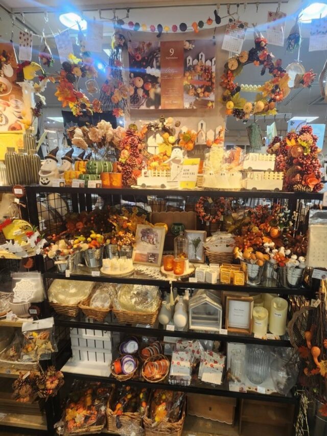 めっちゃ暑くても、季節は進んでいて街中はハロウィンのものが売られていました…🎃
もうすぐ9月ですね🌕
#ジョブタス長吉長原東#就労支援#B型#手作りアクセサリー#平野区就労支援#就労b#ハンドメイド#在宅#軽作業#就労訓練#日当保証#無料送迎