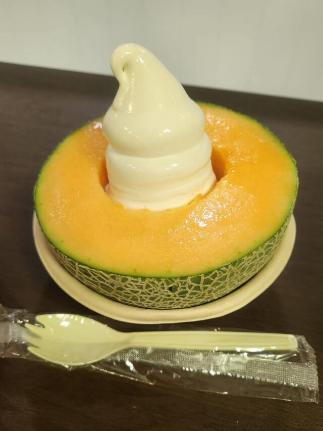 こんにちは♪
職員は週末、北海道物産展に行ってメロン🍈ソフトを食べてきました！
北海道のメロンもソフトクリームも、美味しかったです🎵
#ジョブタス長吉長原東#就労支援#B型#手作りアクセサリー#平野区就労支援#就労b#ハンドメイド#在宅#軽作業#就労訓練#日当保証#無料送迎