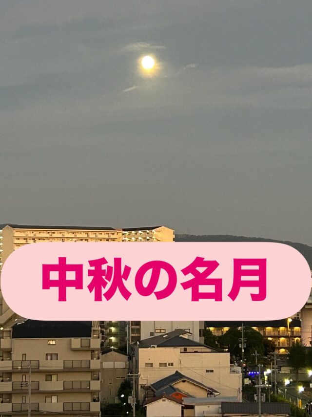 こんにちは🌕

昨晩のお月様はとってもキレイでした🎶

#中秋の名月 というそうですね🌕

みんなのことを見守ってくれていましたよ☺️

月のうさぎもお餅つき捗ったんじゃないでしょうかね🐰

秋はイベントも多く、なにかと忙しい時期ですが

感染症も多くなる季節ですので、

みなさまご自愛くださいね🌕

ご自愛しないやつは

月に代わって

おしおきよー！！🌕🐰🔨

#エフリング #ジョブタス駒川事業所 #ジョブタス #就労継続支援ｂ型 #作業所 #大阪 #谷町線 #月 #満月 #うさぎ #せーらーむーん