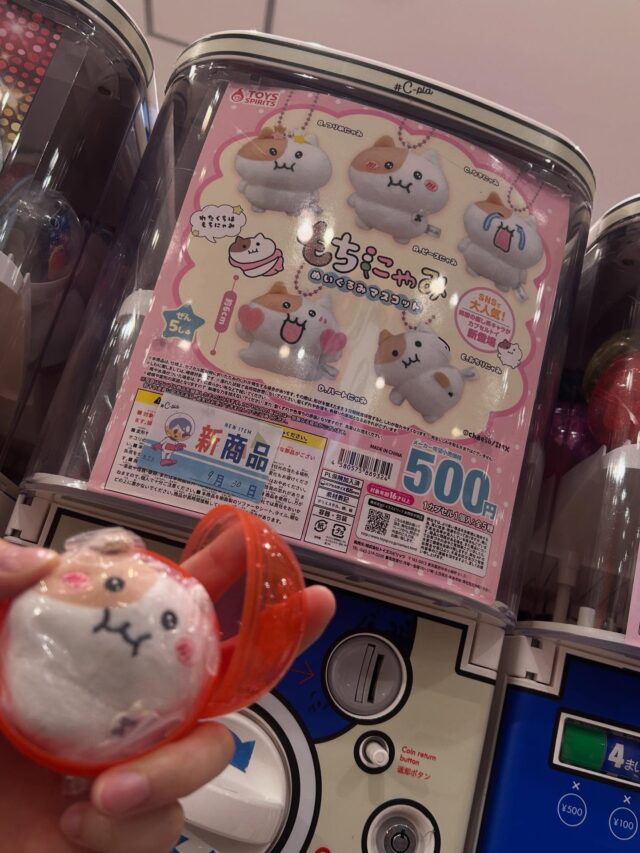 おはようございます☀
やっと金曜日ですね❗️✨
今日が終われば三連休✨ジョブタス駒川事業所も明日から3日間お休みに入りますよ〜🎶

ところで、みなさんこのキャラクターは知っていますか？
もちにゃみ、、、何と愛くるしい、、、、
とっても優しい子なんです❤️
気になった人はぜひ調べてみて下さいね〜〜〜✨

このガチャガチャを見つけた人は、ご連絡ください🎶

今日もよろしくお願いしまーす‼️