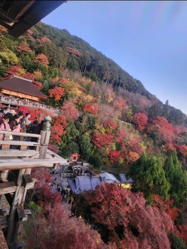 こんにちは！
今日から12月ですね

職員は休日、京都へ紅葉を見に行きました🍁
リフレッシュされました〜✨
皆さんのリフレッシュ方法を教えてくださいね♪
#ジョブタス長吉長原東#就労支援#B型#手作りアクセサリー#平野区就労支援#就労b#ハンドメイド#在宅#軽作業#就労訓練#日当保証#無料送迎#紅葉#京都