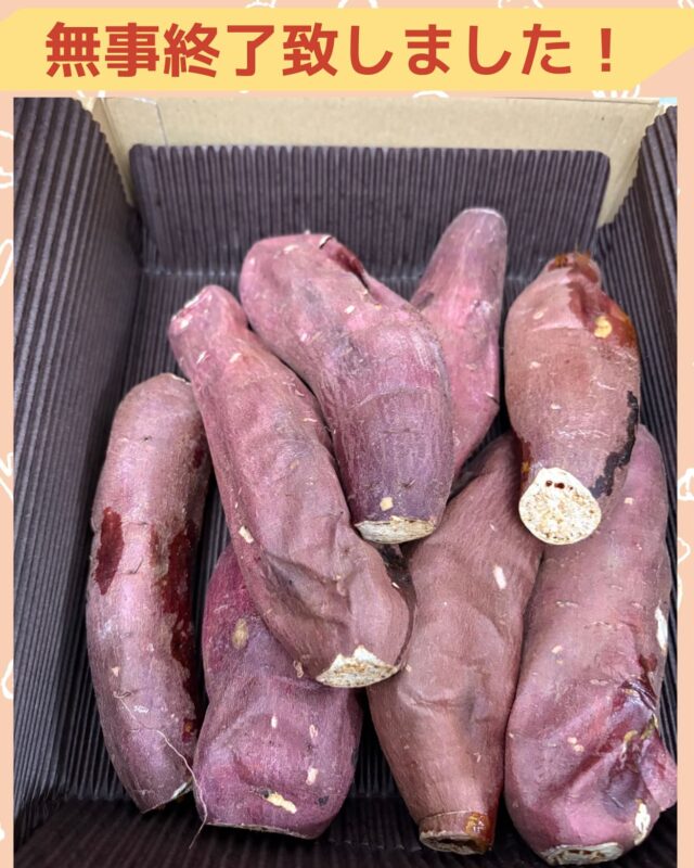 こんにちは、ジョブタス豊四季です☺️
本日、収穫祭レクリエーションを無事に開催することができました！
お休みされる方も少なく、多くの方にご参加いただけて嬉しい限りです🍠✨

当日の様子は、改めて別投稿にてご紹介いたしますのでお楽しみに👀