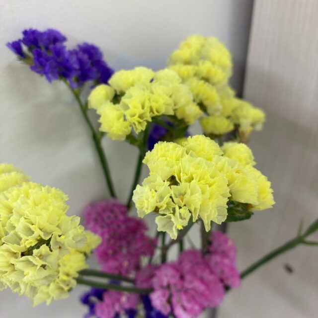 ジョブタス千城台東事業所です！

4月になりましたね～利用者さんから、ご家族と一緒にお花摘みに行った、とキレイなお土産を頂きました♬

花瓶に入れて飾っていたところ、他の利用者さんから、これ、ドライフラワーにできるんじゃないかしら？と…ステキな案💕

ただいまドライフラワー製作中です🌺
#ジョブタス千城台東事業所 #エフリング
#ドライフラワー#フラワーアレンジメント#就労B型 #福祉事業所