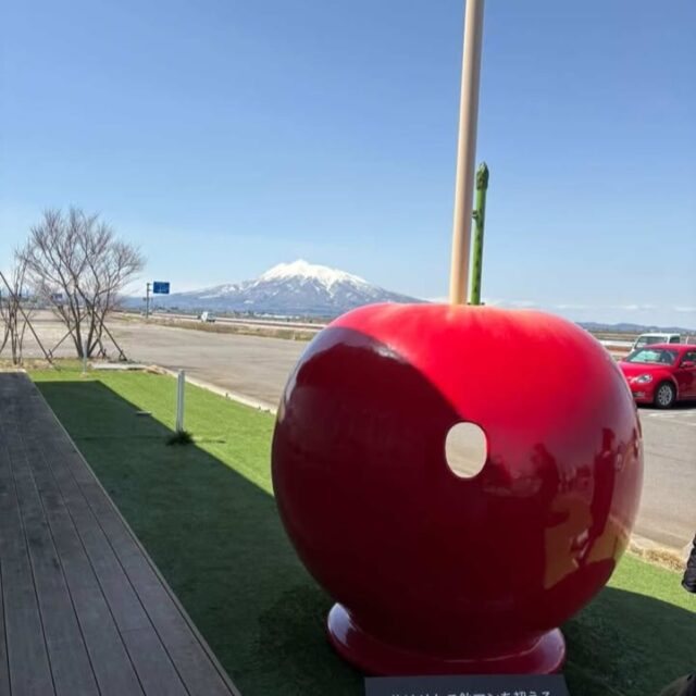 今日の午前中に利用者さんと一緒に弘前から、藤崎まで、ゲリラドライブがありました。
このガソリン高騰の中、事業所では太っ腹です😍　行きついた場所は、道の駅の藤崎食彩テラスでした。表には赤い林檎のオブジェがあり、中に入って写真を記念に撮って貰いました。りんご飴マンの聖地みたいですよ❤️　道中空には雲一つなく桜も咲き始めていて、とても清々しいドライブでした💯　＃ジョブタス弘前八幡事業所　＃ゲリラドライブ　＃弘前市から藤崎町　＃りんご飴マン