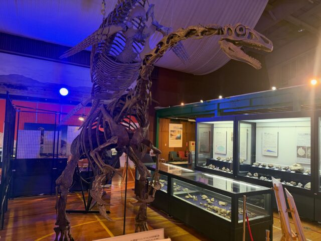 こんにちは🌞
ジョブアカデミー名寄です🫡

本日はレクリエーションでエコミュージアム行きました🦕
アンモナイトの化石がいっぱいで皆さんとても真剣に見てくれていました🙆‍♀️

道の駅ではみんなでコロッケを食べて楽しいレクリエーションでしたね👍

最後はテリジノサウルスの真似をしながら「骨格が違うんで」と話していた佐橋職員を添えて🙂‍↕️笑（許可済み）

#北海道 
#名寄市 
#ジョブアカデミー名寄 
#エフリング 
#就労継続支援ｂ型事業所