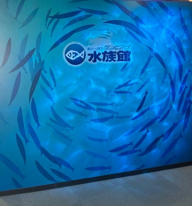職員がサンピアザ水族館に行ってきました🐧🐟🐠🐡🐙🐬
⁡
#ジョブタス白石
#水族館