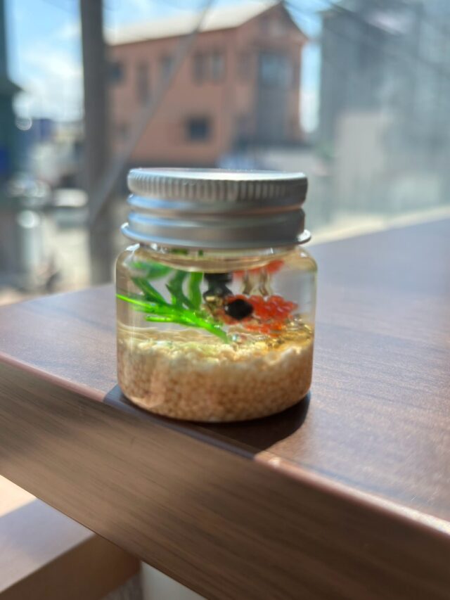 利用者さんの作品を紹介します

金魚のハーバリウムです☺️
太陽の光で照らされて綺麗です✨
#ジョブタス長吉長原東#就労支援B型#手作りアクセサリー#平野区就労支#ハンドメイド