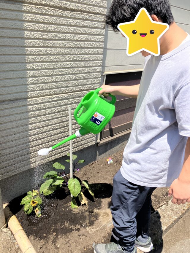 🌱こんばんは😊

先日ご紹介した ジョブタス農園 の近況をご報告します✨

その名も…

🌿 ジョブタスアグリ！！ 🌿

少しずつ農園らしくなってきました😆

今回はなんと…🍆✨
ナスの収穫 ができました！！

最初は「本当に育つのかな？🤔」と思うほど小さな苗でしたが、利用者さんが毎日愛情たっぷりに水やりをしてくれたおかげで、写真のように立派なナスへと大成長👏🎉

植物ってすごいですね🌞💧

まだまだ実がなりそうなので、これからの収穫も楽しみです😊

利用者さんと一緒に「今日は何個採れるかな？」「また大きくなってる！」なんて会話をしながら、水やりやお世話を続けています🎵

そして収穫した新鮮なナスは…
🍽️ お昼ご飯で美味しくいただく予定です！

これからもジョブタスアグリの成長をお楽しみに😊✨

次はどんな野菜が登場するのか…🥒🍅🌽
続報をお待ちください！！

♡♡お問い合わせ先∩^ω^∩♡

🏢宇都宮市西大寛2丁目5-46
☎️0286668206
💌 jobtas.sakura@gmail.com

･*:.｡. .｡.:*･゜ﾟ･* *･゜ﾟ･*:.｡..｡.:*･'

#ジョブタス宇都宮さくら事業所
#就労継続支援b型
#精神障がい
#知的障がい
#身体障がい
#難病
#全盲
#送迎無料
#資格取得支援
#発達障害 　
#pc作業
#パソコン初心者
#ソフトクリーム無料
#ドリンク無料　
#就労継続支援
#とにかく楽しい
#ジョブタス農園
#ひまわり成長記録
#ミニトマト
#なす
#きゅうり
#利用者募集中
#見学歓迎
#快適な作業環境