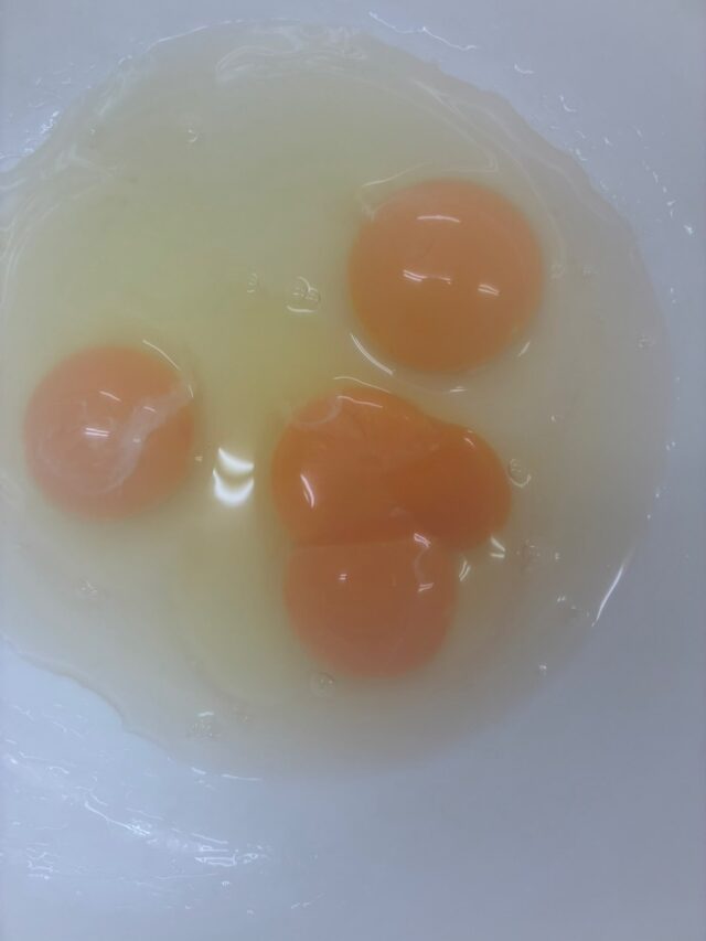 先日、昼食を作っていたら
双子の卵を見つけました🥚
小さな幸せ、お裾分けします🍀
#ジョブタス長吉長原東#就労支援B型#双子の卵#軽作業#ハンドメイド