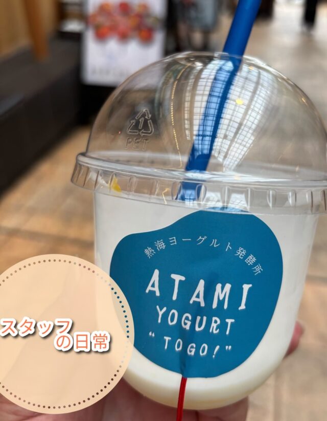 こんにちは、ジョブタス豊四季です😊

本日は「スタッフの日常」Nさん編です！

先日、ご家族と一緒に熱海〜江ノ島を観光してきたそうです🚗✨
夏ならではの景色やグルメを満喫できたとのこと🌊☀️

夏の熱海や江ノ島は、やっぱり最高ですね😊