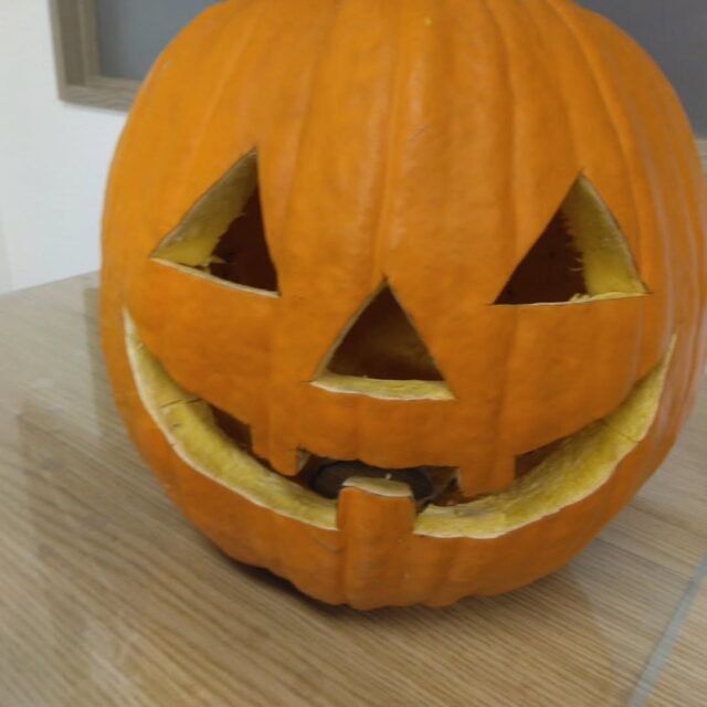 今月の飾りは壁や天井からたくさんのクモたち！
来週にはレクを予定しておりハロウィーンを意識したものとなっております🙌利用者の皆さまも張り出したスケジュールを見て楽しみにされているようです🎶日頃、励んでいただいております作業の息抜きとして職員も盛り上げて参ります😀

当事業所では随時見学や体験を随時募集しておりますのでお気軽にお問い合わせ下さい

#ジョブアカデミー名寄
#エフリング 
#就労継続支援b型事業所 
#なよろ