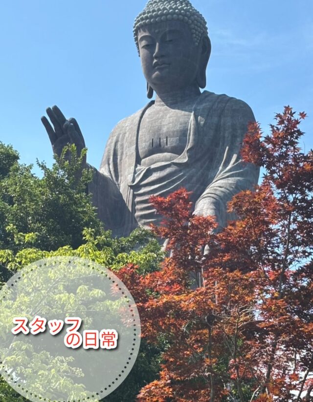 こんにちはジョブタス豊四季です😊

本日はスタッフの日常コーナー、Nさん編です！

先日、牛久大仏へお出かけされたそうです！
少しずつ葉っぱも色づき始めていて、大仏様との組み合わせがいい感じですね🍁😊

これから紅葉が進んでいくのも楽しみですね！